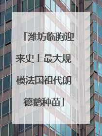 潍坊临朐迎来史上最大规模法国祖代朗德鹅种苗