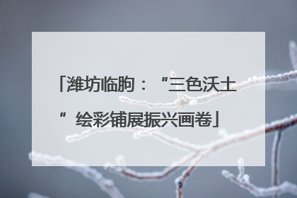 潍坊临朐：“三色沃土”绘彩铺展振兴画卷