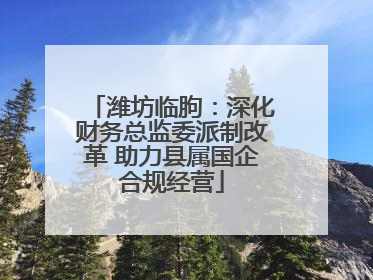 潍坊临朐：深化财务总监委派制改革 助力县属国企合规经营