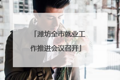 潍坊全市就业工作推进会议召开