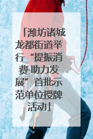 潍坊诸城龙都街道举行“提振消费·助力发展”首批示范单位授牌活动