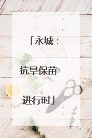 永城：抗旱保苗进行时