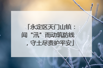 永定区天门山镇：闻“汛”而动筑防线，守土尽责护平安