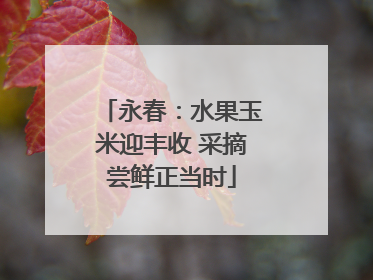 永春：水果玉米迎丰收 采摘尝鲜正当时