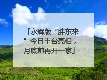 永辉版“胖东来”今日丰台亮相，月底前再开一家