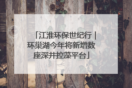 江淮环保世纪行｜环巢湖今年将新增数座深井控藻平台