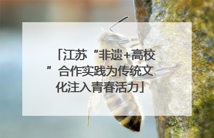 江苏“非遗+高校”合作实践为传统文化注入青春活力