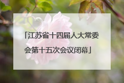 江苏省十四届人大常委会第十五次会议闭幕
