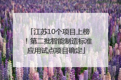 江苏10个项目上榜！第二批智能制造标准应用试点项目确定