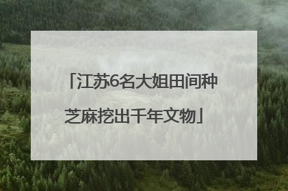 江苏6名大姐田间种芝麻挖出千年文物