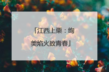 江西上栗：绚美焰火致青春