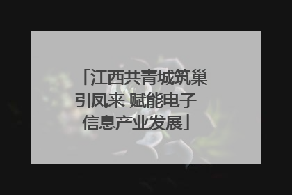 江西共青城筑巢引凤来 赋能电子信息产业发展