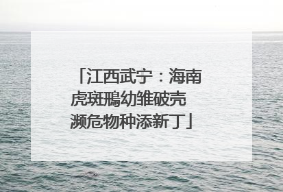 江西武宁：海南虎斑鳽幼雏破壳 濒危物种添新丁