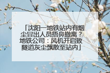 沈阳一地铁站内有烟尘冒出人员捂鼻撤离？地铁公司：风机开启致隧道灰尘飘散至站内