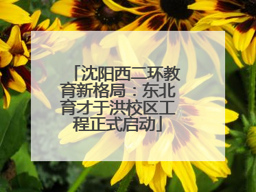 沈阳西二环教育新格局：东北育才于洪校区工程正式启动