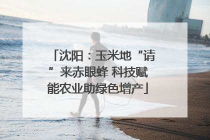 沈阳：玉米地“请”来赤眼蜂 科技赋能农业助绿色增产