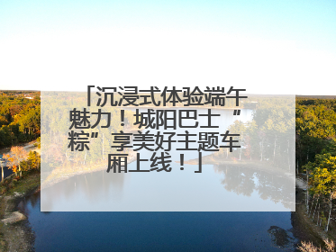沉浸式体验端午魅力！城阳巴士“粽”享美好主题车厢上线！