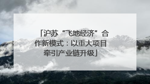 沪苏“飞地经济”合作新模式：以重大项目牵引产业链升级
