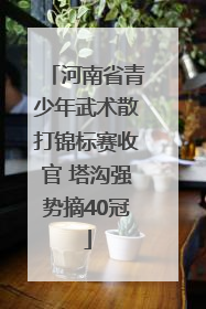 河南省青少年武术散打锦标赛收官 塔沟强势摘40冠