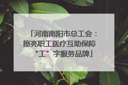 河南南阳市总工会：擦亮职工医疗互助保障“工”字服务品牌