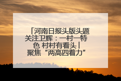 河南日报头版头题关注卫辉：一村一特色 村村有看头 ︳聚焦“两高四着力”·一“县”观察