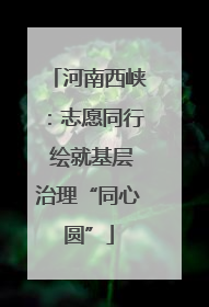 河南西峡：志愿同行 绘就基层治理“同心圆”