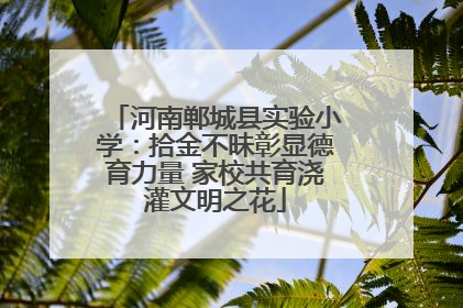 河南郸城县实验小学：拾金不昧彰显德育力量 家校共育浇灌文明之花