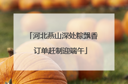 河北燕山深处粽飘香 订单赶制迎端午