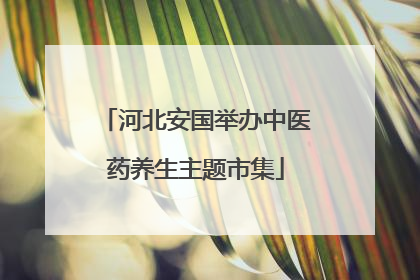 河北安国举办中医药养生主题市集