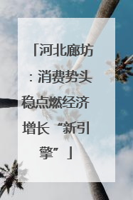 河北廊坊：消费势头稳点燃经济增长“新引擎”