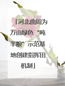 河北曲周为万亩绿色“吨半粮”示范基地创建指挥田机制