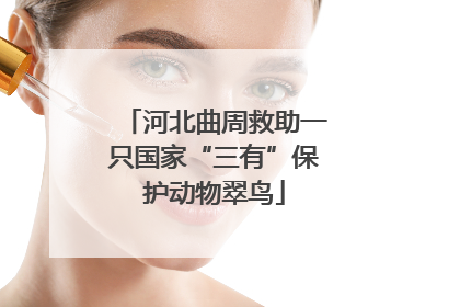 河北曲周救助一只国家“三有”保护动物翠鸟