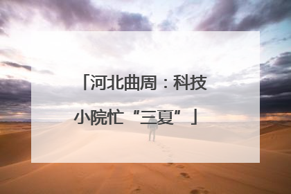 河北曲周：科技小院忙“三夏”