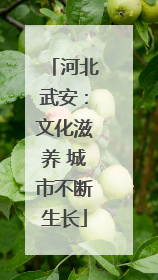 河北武安：文化滋养 城市不断生长