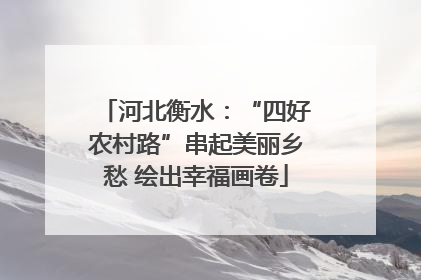 河北衡水：“四好农村路”串起美丽乡愁 绘出幸福画卷