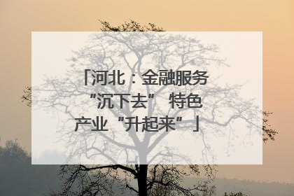 河北：金融服务“沉下去” 特色产业“升起来”
