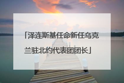 泽连斯基任命新任乌克兰驻北约代表团团长
