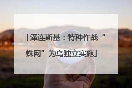 泽连斯基：特种作战“蛛网”为乌独立实施