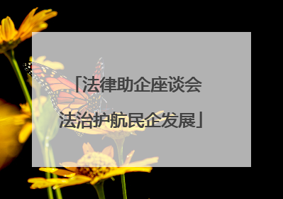 法律助企座谈会 法治护航民企发展