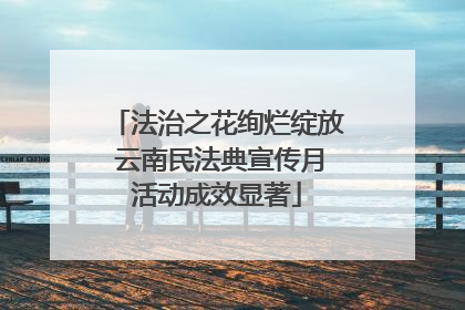 法治之花绚烂绽放 云南民法典宣传月活动成效显著