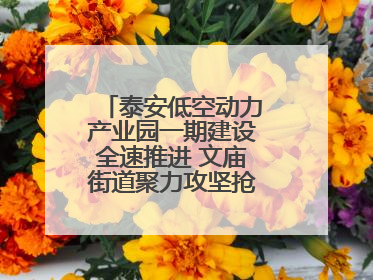 泰安低空动力产业园一期建设全速推进 文庙街道聚力攻坚抢抓“进度条”