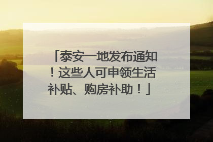 泰安一地发布通知！这些人可申领生活补贴、购房补助！