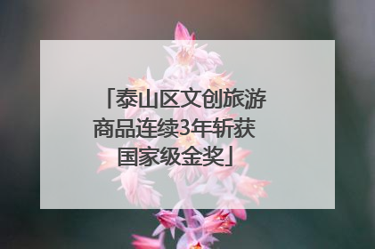 泰山区文创旅游商品连续3年斩获国家级金奖