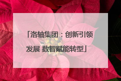 洛轴集团：创新引领发展 数智赋能转型
