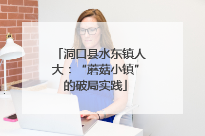 洞口县水东镇人大：“蘑菇小镇”的破局实践