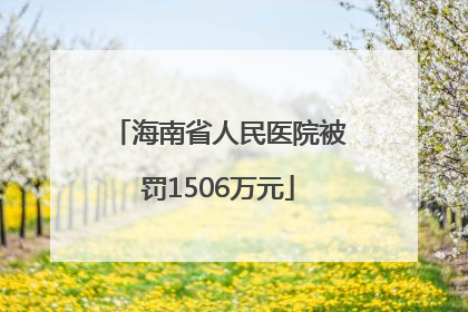 海南省人民医院被罚1506万元