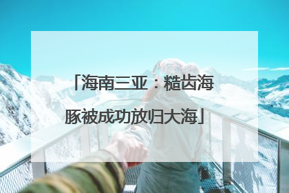 海南三亚：糙齿海豚被成功放归大海