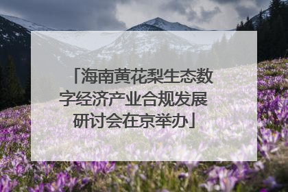 海南黄花梨生态数字经济产业合规发展研讨会在京举办