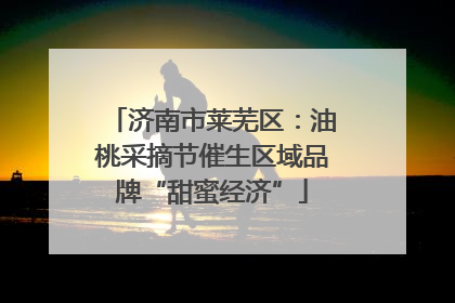 济南市莱芜区：油桃采摘节催生区域品牌“甜蜜经济”