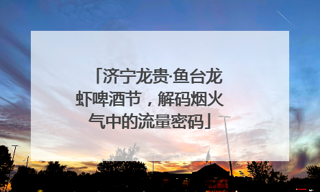 济宁龙贵·鱼台龙虾啤酒节，解码烟火气中的流量密码